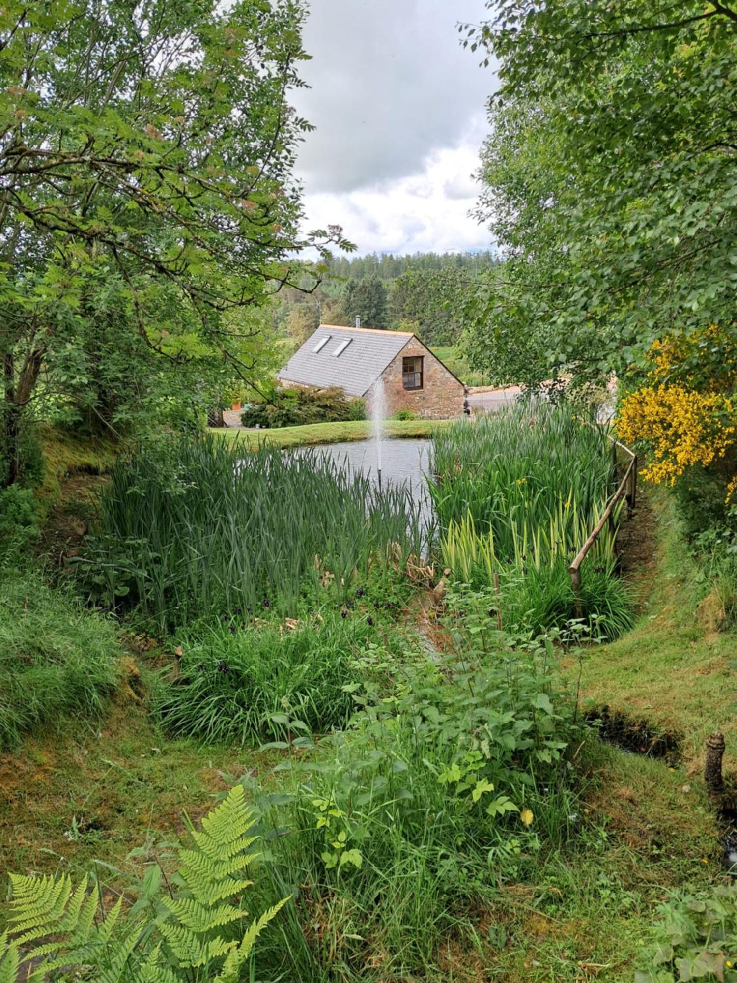 Boghead Cottage: In Royal Deeside * Banchory